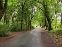 7. Tag – Kylemore Abbey und Garten