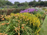 7. Tag – Kylemore Abbey und Garten