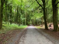 9. Tag – Spaziergang in Coole Park