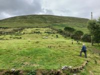 10. Tag – Ring of Kerry – Besuch beim Schäfer Brendan