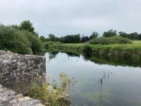 11. Tag – Adare – Desmond Castle