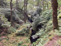 12. Tag – Wanderung in Glendalough