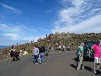  Giant`s Causeway