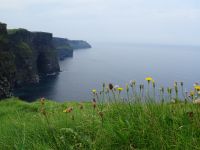 Klippen von Moher