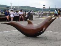 Dingles Maskottchen: Fungie