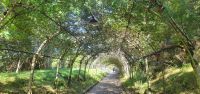 20220905 124619 am Glenveagh Castle