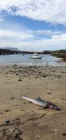 20220906 105103  Mullaghmore