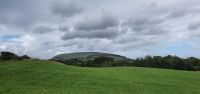 20220906_125133.jpg Carrowmore- Blick zum Grabmal Königin Maeth