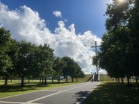 1. Tag – Stadtrundfahrt in Dublin – Phoenix Park – Papstkreuz