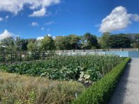 1. Tag – Stadtrundfahrt in Dublin – Phoenix Park – Walled Garden