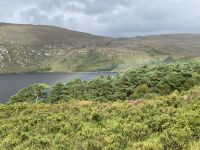 3. Tag – Wandern im Glenveagh-Nationalpark