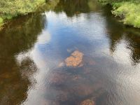 3. Tag – Wandern im Glenveagh-Nationalpark – Ausgekippter Goldtopf