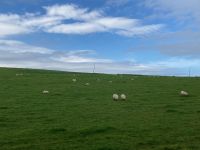 5. Tag – Wanderung um die Halbinsel „Mullaghmore Head“