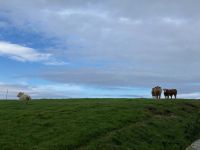 5. Tag – Wanderung um die Halbinsel „Mullaghmore Head“