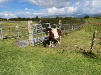 5. Tag – Gräberfeld von Carrowmore