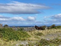 6. Tag – Wanderung auf den Aran Islands