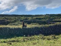 6. Tag – Wanderung auf den Aran Islands