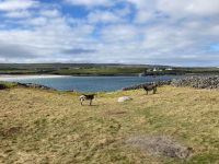 6. Tag – Wanderung auf den Aran Islands