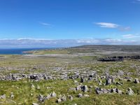 6. Tag – Wanderung auf den Aran Islands – Klippen am Steinfort Dun Aengus