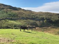7. Tag – Connemara – Wanderung auf den Diamond Hill im Connemara-Nationalpark