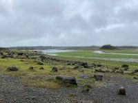 9. Tag – Spaziergang in Coole Park