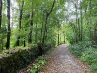 9. Tag – Spaziergang in Coole Park