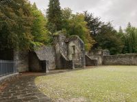 9. Tag – Spaziergang in Coole Park