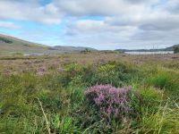 Glenveagh Nationalpark