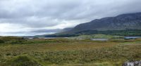 20220907_114615.jpg Connemara
