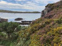 10. Tag – Ring of Kerry – Wanderung zum Derrynane House