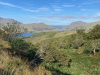 10. Tag – Ring of Kerry – Killarney-Nationalpark – Aussichtspunkt Ladies’ View