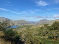 10. Tag – Ring of Kerry – Killarney-Nationalpark – Aussichtspunkt Ladies’ View