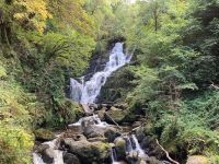10. Tag – Ring of Kerry – Killarney-Nationalpark – Torc-Wasserfall