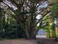 10. Tag – Ring of Kerry – Killarney-Nationalpark – Spaziergang zum Muckross House