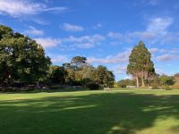 10. Tag – Ring of Kerry – Killarney-Nationalpark – Spaziergang zum Muckross House