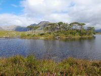 Connemara: Twelve Pines Island