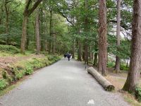 12. Tag – Glendalough – Wanderung zum Miners’ Village