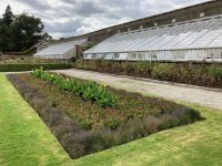 12. Tag – Powerscourt Gardens