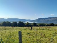 Aussicht über Lough Leane