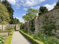 1. Reisetag – Stadtrundfahrt in Dublin – Viktorianischer Küchengarten im Phoenix Park