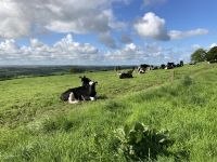 2. Reisetag – Hill of Slane