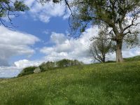 2. Reisetag – Beim Navan Fort in Ulster