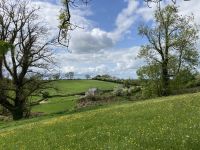 2. Reisetag – Beim Navan Fort in Ulster