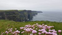 Cliffs of Moher