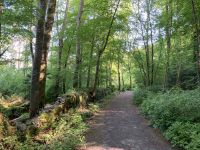 9. Reisetag – Spaziergang im Coole Park