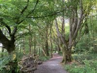 9. Reisetag – Spaziergang im Coole Park