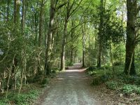 9. Reisetag – Spaziergang im Coole Park