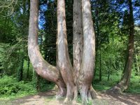 9. Reisetag – Spaziergang im Coole Park – Rotzeder