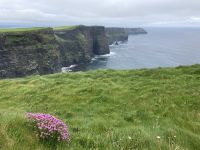 8. Reisetag – Cliffs of Moher