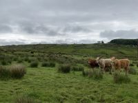 8. Reisetag – Wanderung im Burren vom Ballinalacken Castle nach Fanore